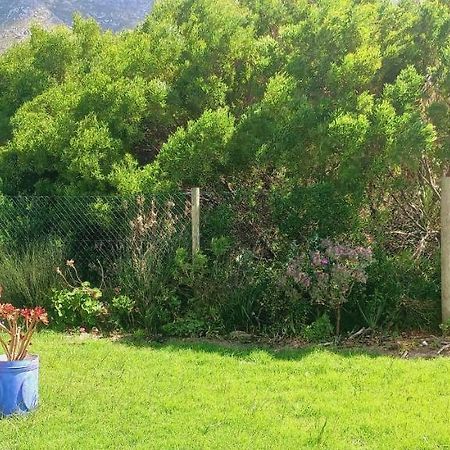 Cat Nap Cottage Bettyʼs Bay Exteriör bild