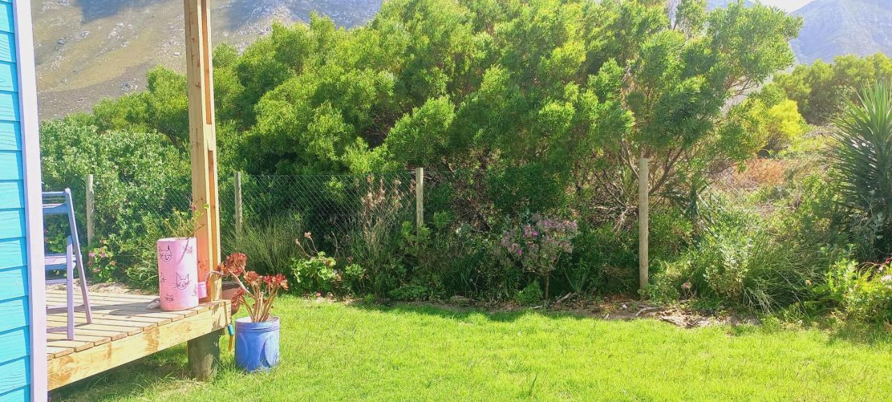 Cat Nap Cottage Bettyʼs Bay Exteriör bild