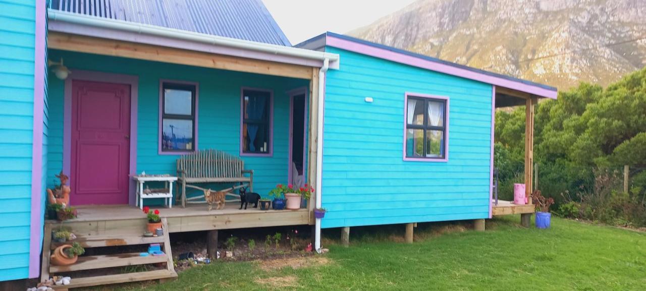 Cat Nap Cottage Bettyʼs Bay Exteriör bild
