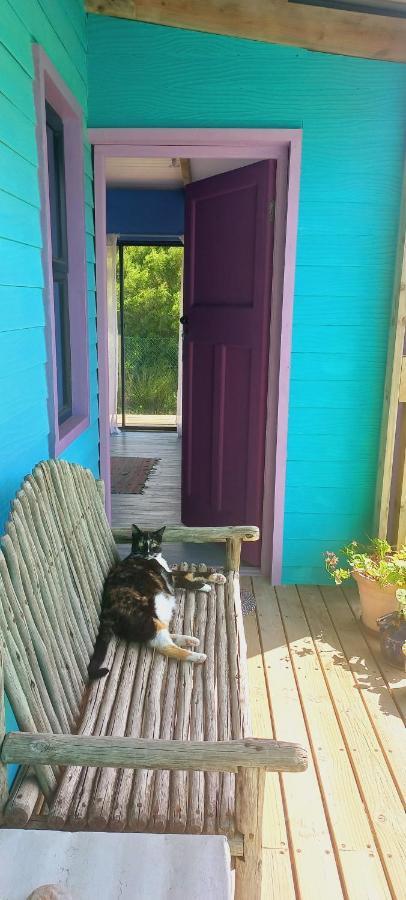 Cat Nap Cottage Bettyʼs Bay Exteriör bild