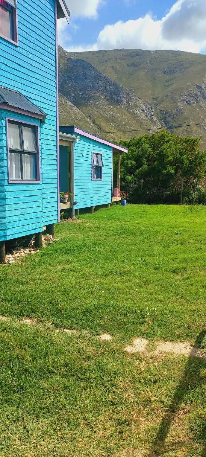 Cat Nap Cottage Bettyʼs Bay Exteriör bild