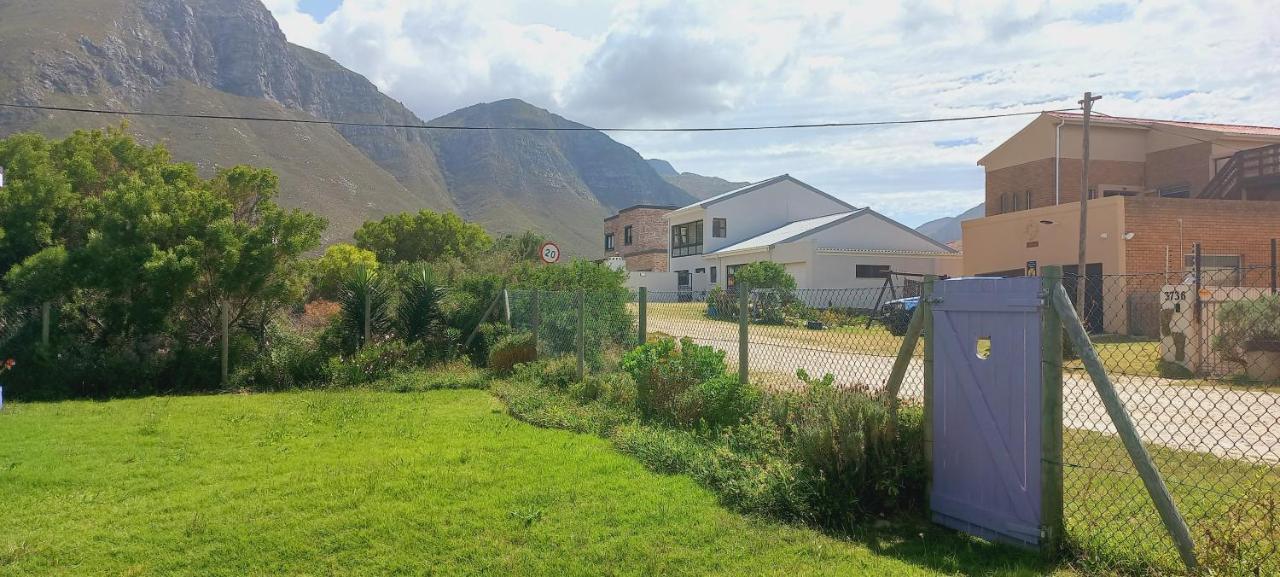 Cat Nap Cottage Bettyʼs Bay Exteriör bild